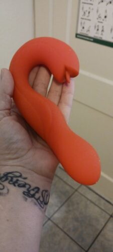 JOI Rotating Head G-spot Vibrator & Clit Licker photo review